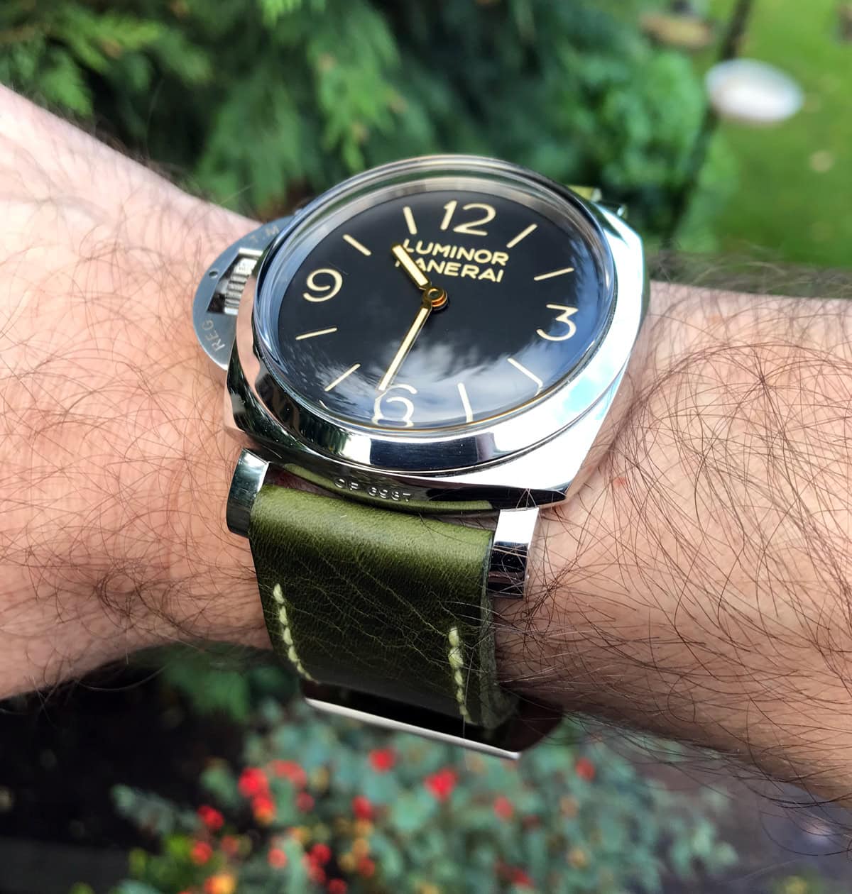 Panerai 557 on Antique Green leather with pale yellow stitching. © Terry Wright